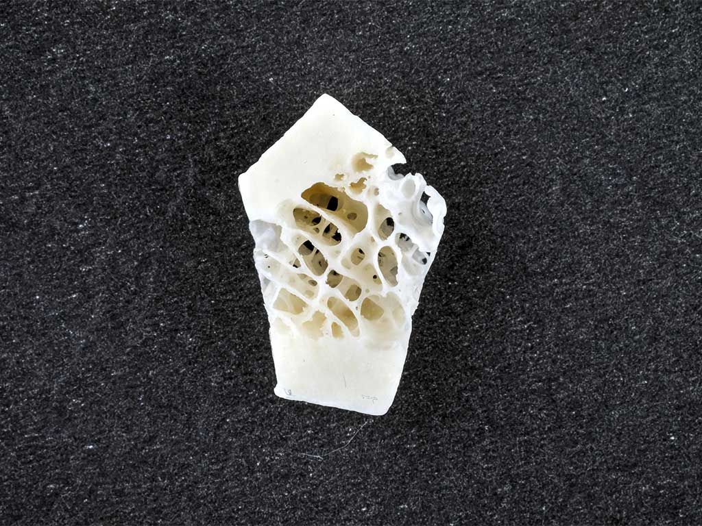 BCI-biocompatibility-innovation-biostealth-technology-4